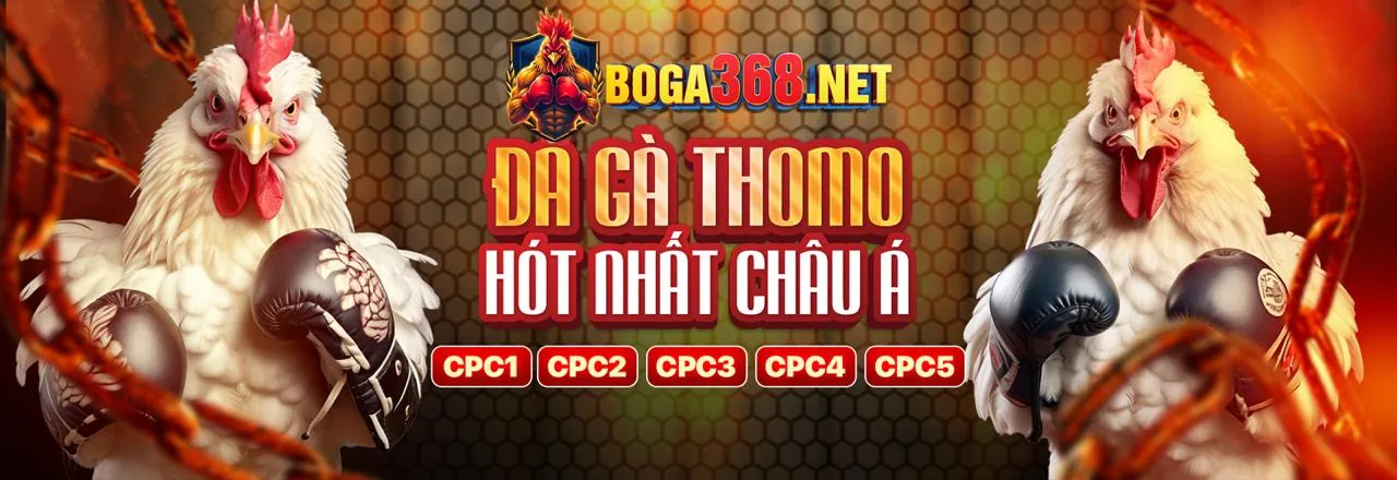 Cá cược thể thao 88neo Win với trận đấu bóng đá sôi động
